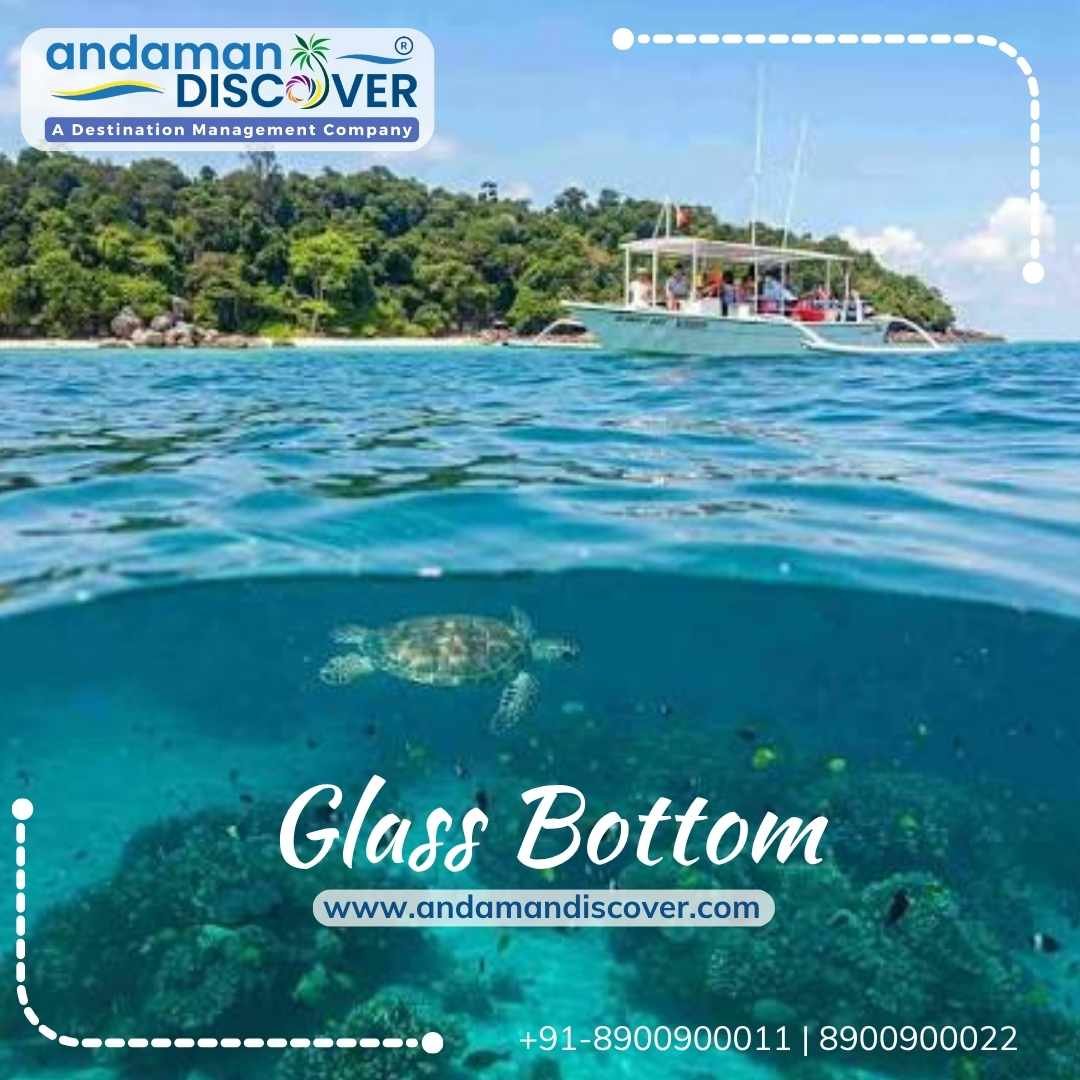 Glass Bottom