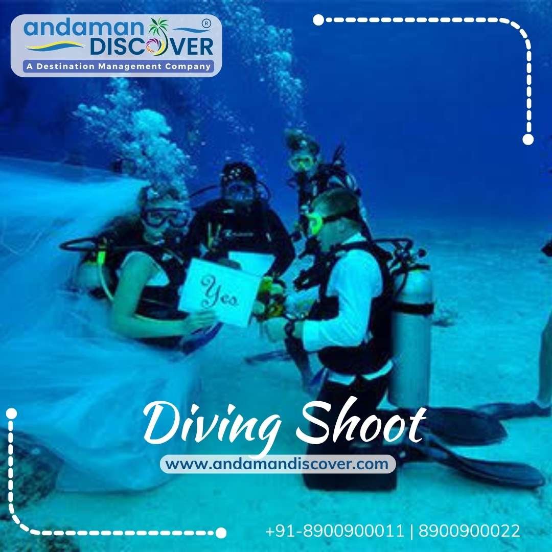 Diving Photo Shoot