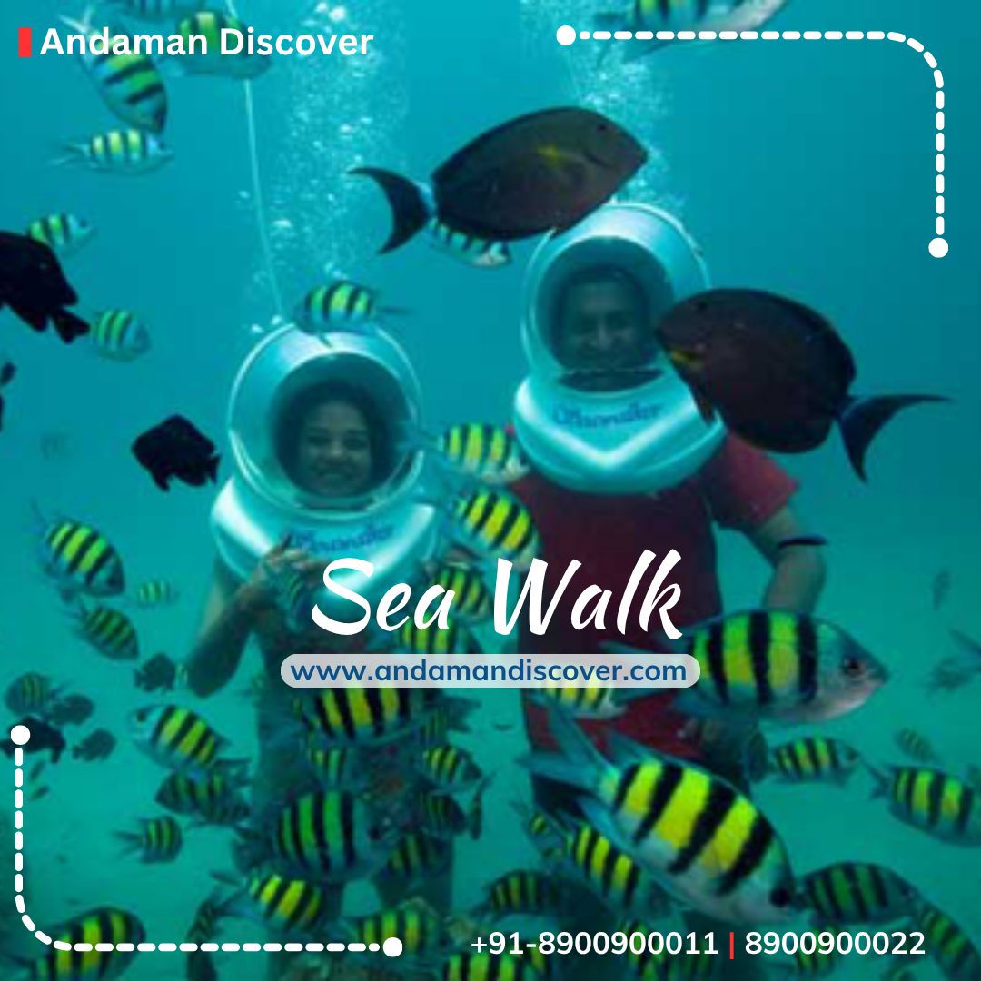 Sea Walk